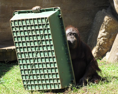 ���悯���班������o����