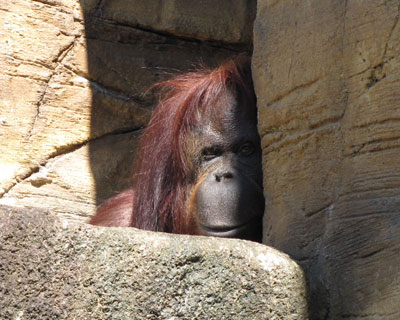 �����ȁA�܂�����