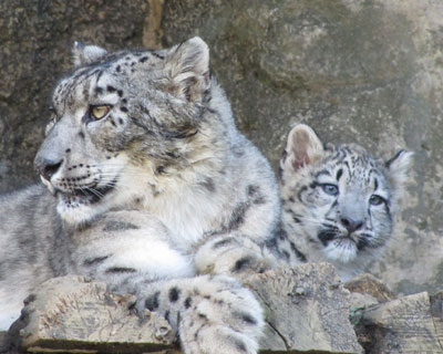 �P������A�܂��܂�������