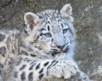 �~�[�~�[��