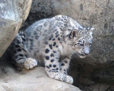 ����ɂQ�����A�����Ԉ����