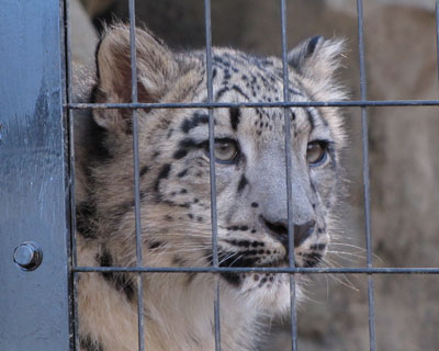 ��l���ۂ���ɂȂ���