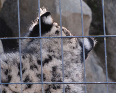 �ł������͂��킢��