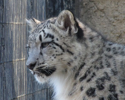 �q�˂�����������