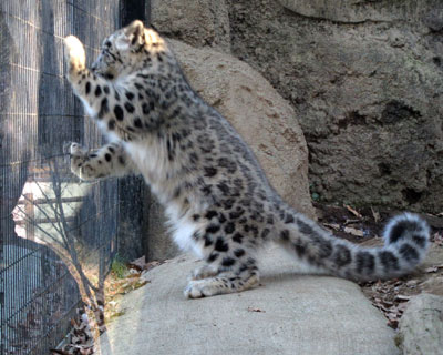 �ˑR�����オ��