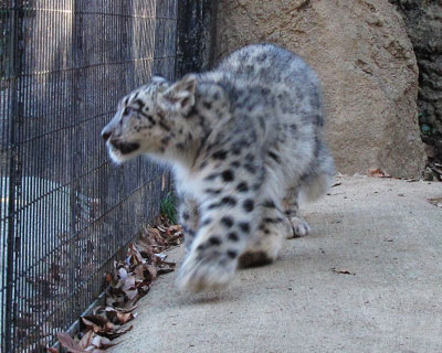 �_�炩��������