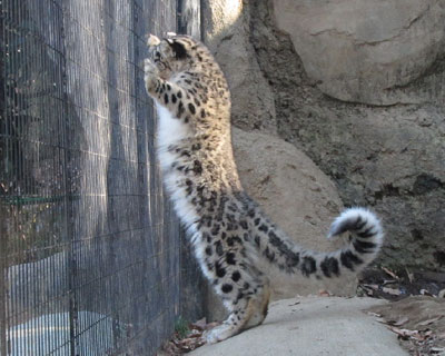 �������݂�������