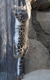 ���A�̂ڂ��Ă��܂���