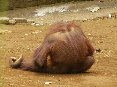 �ꏊ��ς��ĔY��