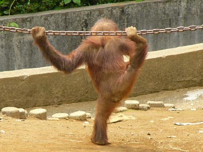 �X�g���b�`�����Ă�����