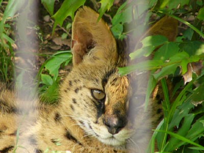 �x�e�T�[�o��