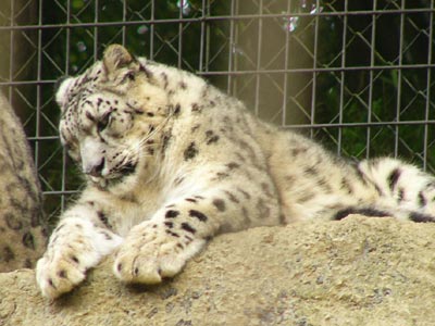 ���L�q���E�������E�E�E