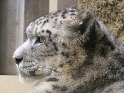 �N���Ă���΂�肵��