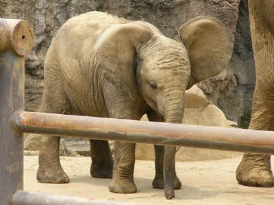 ���N��������q�]�E