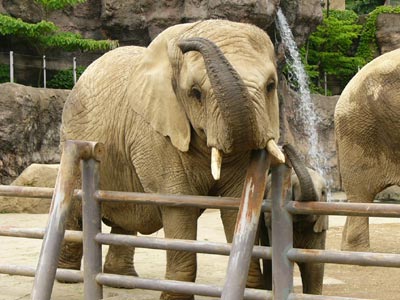 ���ǂ������ǐe�q����Ȃ�