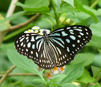 �����E�L���E�A�T�M�}�_��