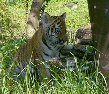 �����̂œ��A���D��