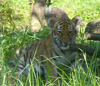 �����Ԉ����