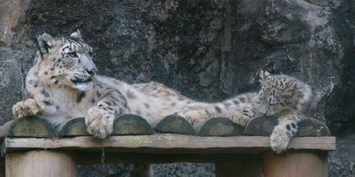 �ڂ��o�߂��E�E�E