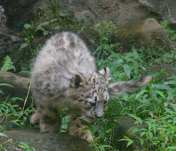 �ނށI�C�ɂȂ�