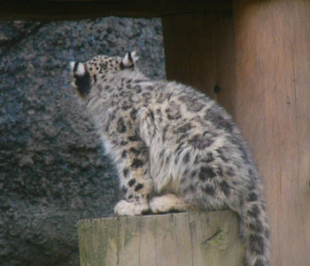 �}�}�ƌZ��̂Ƃ���֍s������