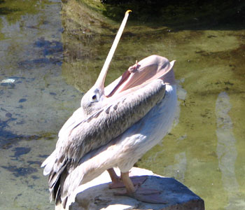 ���`���`���`�`�`