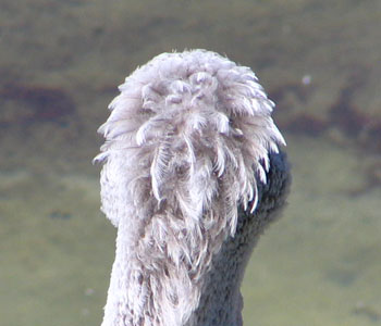 ���������Q��