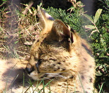 �T�[�o��������