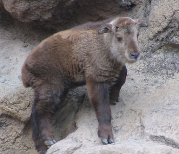 �`�r�ł���o�肪����