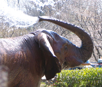 �z�[�X�͎��O