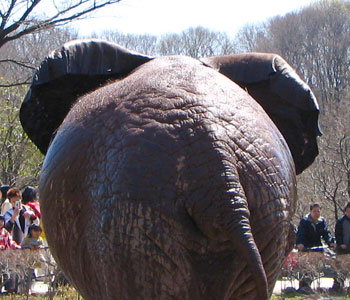 �~�b�L�[�}�E�X�݂����H