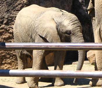 �q�]�E�͈����