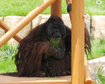 �����A�V�z�ł�����炵���Ă܂�