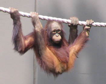 �X�g���b�`���Y�ꂸ��