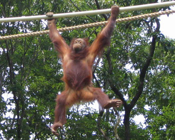 ������Ǝ�����