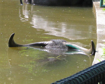 ���`�A����