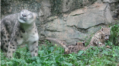 �ӂ��A��l�ŗV�тȂ���