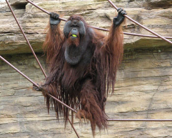 ���������Ă��Ȃɂ����ĂȂ�