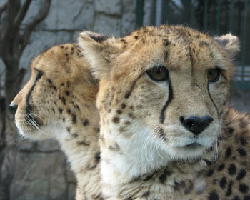 �񂪓�E�E�E