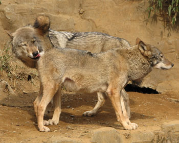 �Ȃ��A��������`