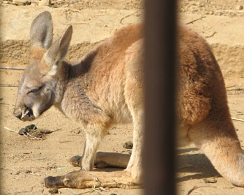 �Q��q�͈��