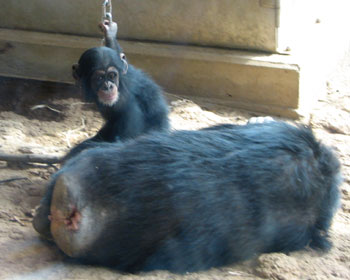 �V��ł���Ȃ��E�E�E