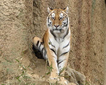 ������������Ă�H