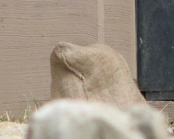 ���̑܂ɂ̓I�����E�[�^����