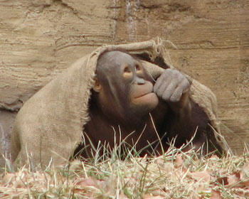 ���N�͊������