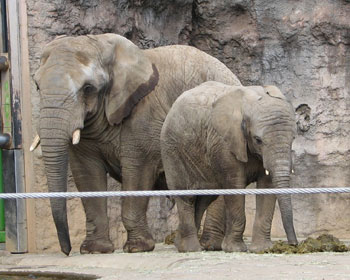 ��������A����