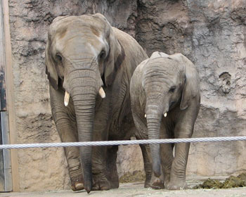 ���΂���Ƃ͒��ǂ�