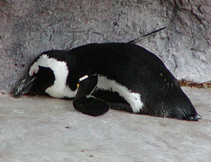 ��������y���M��