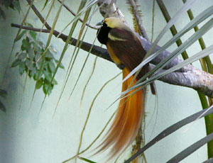 �h�肷����