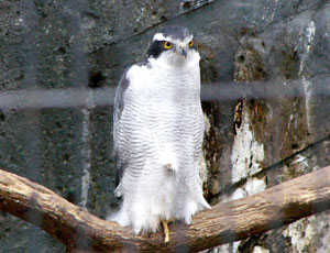 �B���ז��I�I�^�J